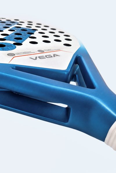 Vega WS2